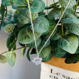 Елегантно колие с лапа от сребро – Неръждаема стомана