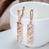 Об earrings с изрязана етикет в два цвята